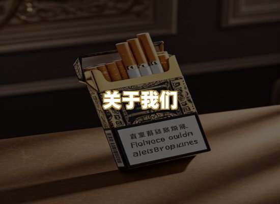 关于我们